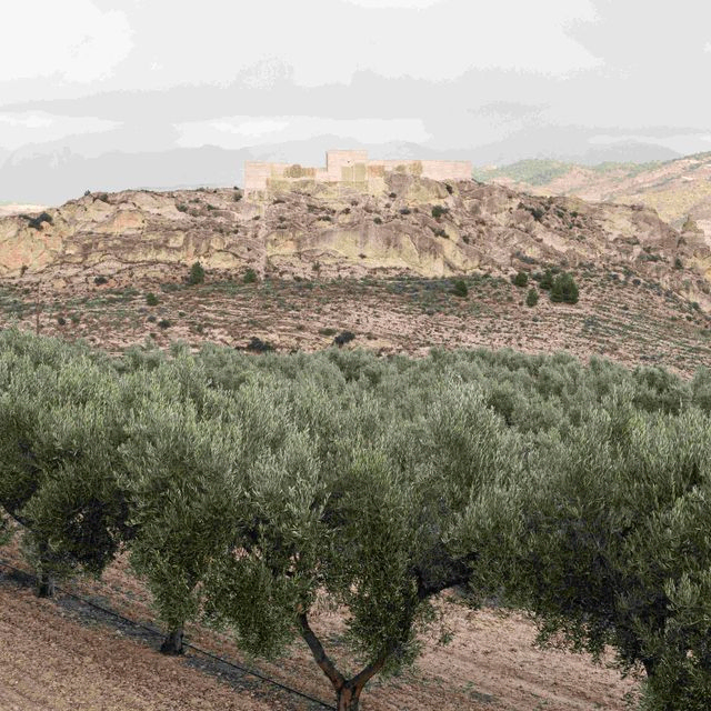 RESTAURACIÓN DE LA TORRE GROSSA Y LA ALCAZABA DEL CASTILLO DE XIXONA